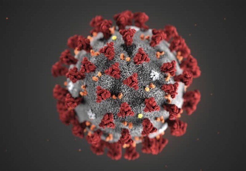 دانشمندان به دنبال بررسی منشاء ویروس کرونا