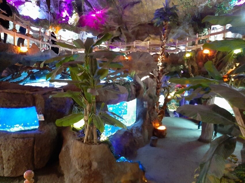 Ganjnameh cave aquarium in Hamedan