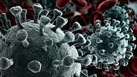 میکروب‌های روده بر ابتلا به کروناویروس تاثیر دارد