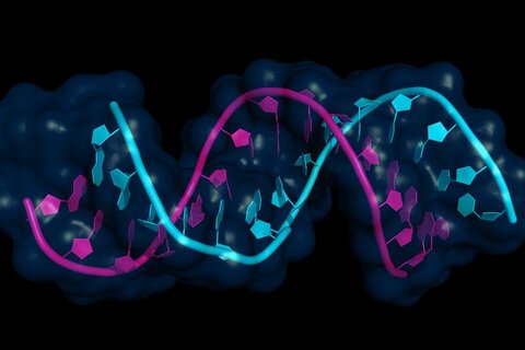 تحقیقات درمان سرطان با mRNA وارد ترایال انسانی شد