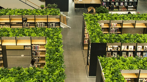 احداث کتابخانه دوستدار محیط زیست در شهر ساری