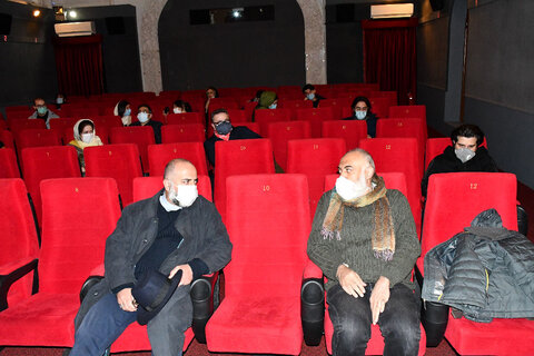 چندمین چنار در موزه سینمای ایران روی پرده رفت
