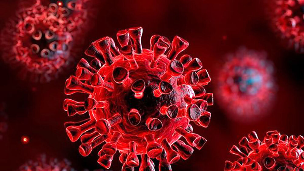 Coronavirus kills 57 more in Iran over past 24 hours