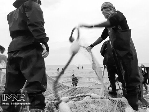 صید و ماهیگیری در سواحل دریای خزر به روش ' پره ' است 