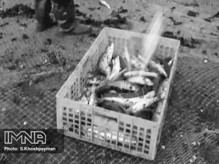 دستگیری ماهی گیران غیرمجاز در لردگان