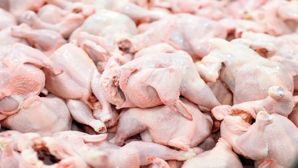 قیمت گوشت و مرغ در یک سال چقدر گران شد؟ + جدول افزایش نرخ
