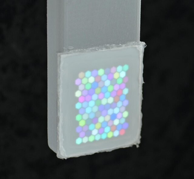 تلویزیونی برای حیوانات