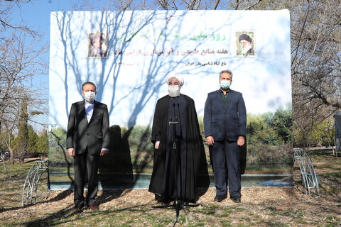 روحانی: حفظ و گسترش درختان و مراتع به معنای امنیت غذایی و ملی است