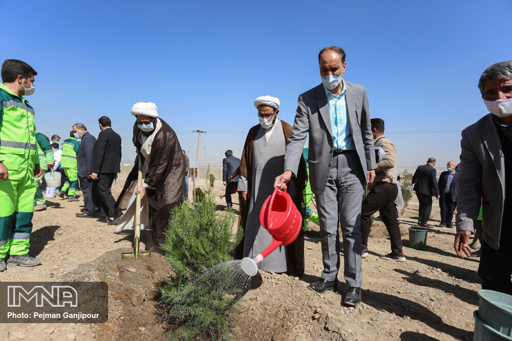  کاشت ۵۰ هزار درخت و درختچه در کمربندی سبز شهر اصفهان