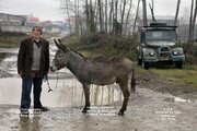 اکران آنلاین فیلم سینما خر