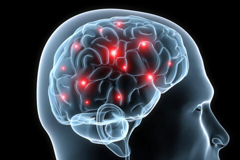 تاثیر بیماری کووید-۱۹ بر مغز انسان