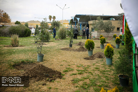 توزیع ۴ هزار اصله درخت مثمر و غیرمثمر در کاشان