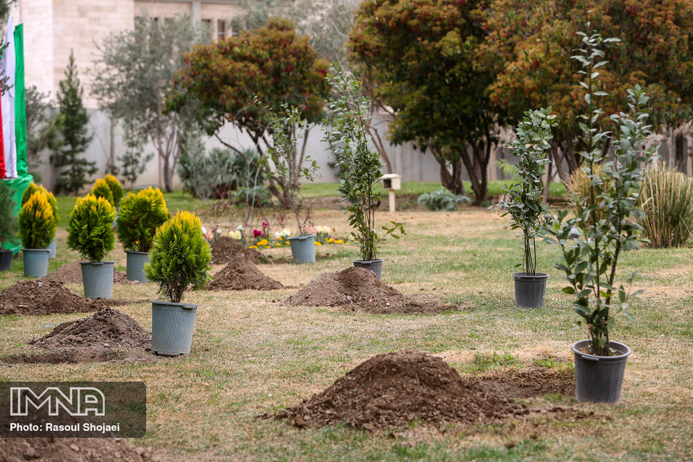 کاشت درخت به تعداد شهدای شهر گوگد