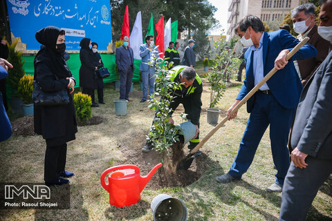 آئین درختکاری در پایانه کاوه