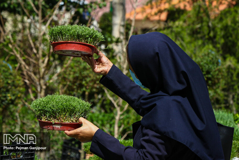 اجرای طرح جمع‎‌آوری سبزه‌های نوروزی در نقاط پرتردد شهر