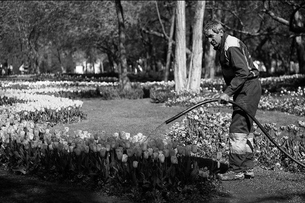 Isfahan takes advantage of wastewater irrigating green spaces