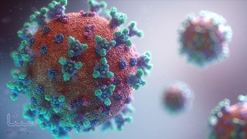 14,319 new cases of coronavirus reported in Iran