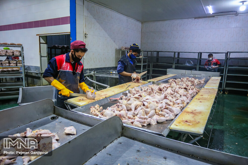 قیمت مرغ در اصفهان به ۴۵,۹۰۰ تومان رسید