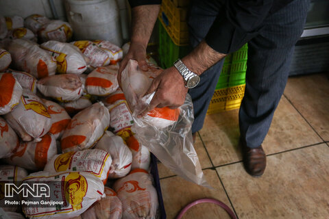 قیمت مرغ در سراسر اصفهان ۳۱ هزار تومان است