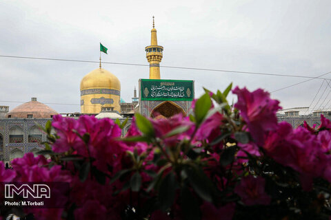 Iranians mark birth anniversary of Imam Reza