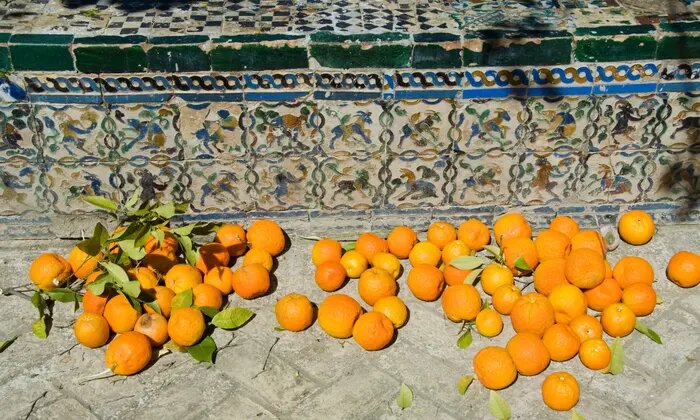 سویل پرتقال‌های شهر را به برق تبدیل می‌کند!