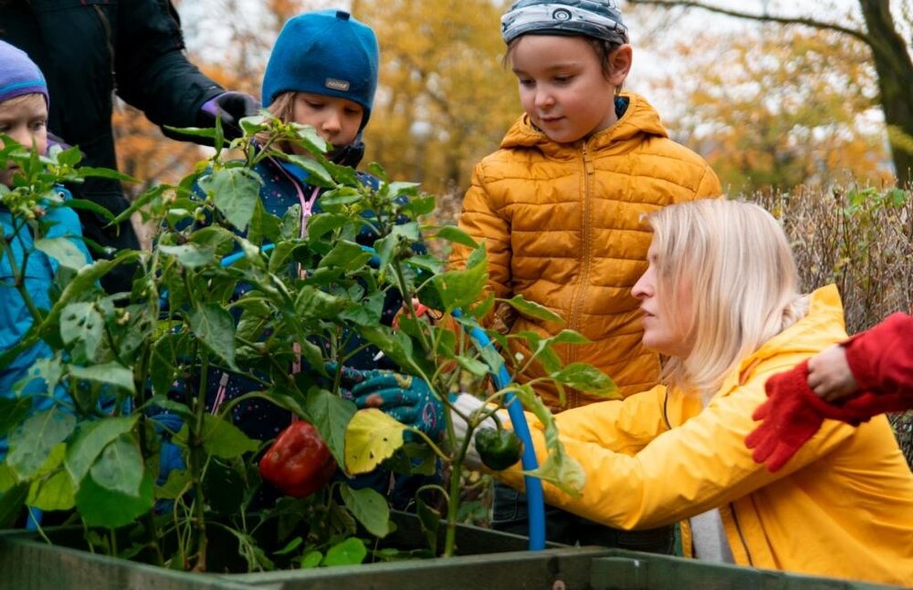 باغ‌های آموزشی در پایتخت استونی