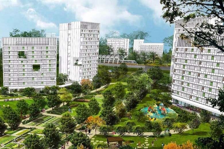 ساخت "بوم شهر هوشمند" در سنگاپور؛ نمونه موفق شهر پایدار آینده