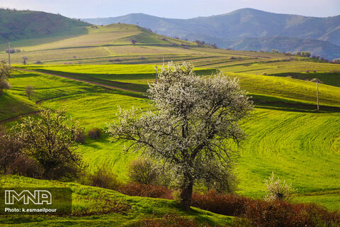 طبیعت بهاری "کلیبر" آذربایجان شرقی