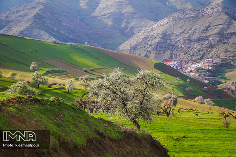 طبیعت بهاری "کلیبر" آذربایجان شرقی