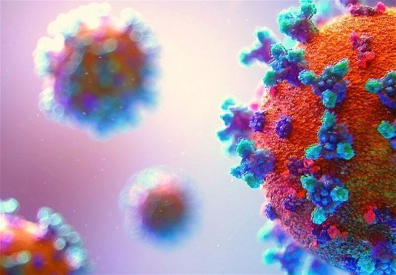 کشف یک مکانیسم ضدویروسی در برابر کرونا