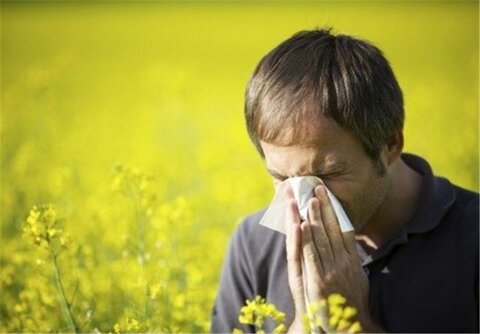 علت اصلی بروز آلرژی در فصل بهار چیست؟  