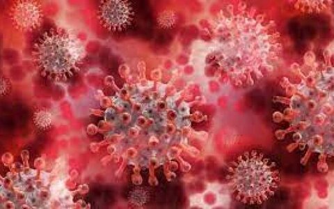نخستین تصویر از ویروس اُمیکرون - ایمنا