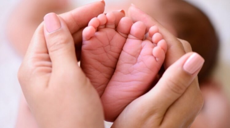 ثبت بیش از ۱۰ هزار ولادت در خراسان شمالی طی سال جاری