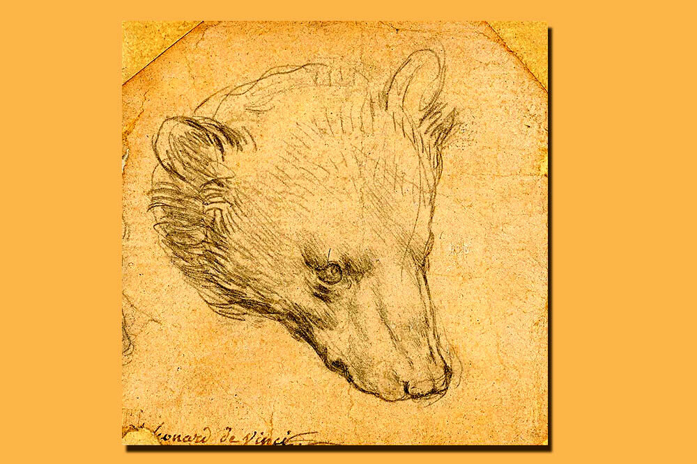 «سر خرس» داوینچی در لندن چوب حراج می‌خورد
