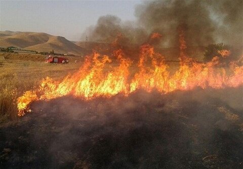 آتش سوزی مزارع دو کوهه رشنو پلدختر/ ۸ هکتار از دسترنج کشاورزان خاکستر شد