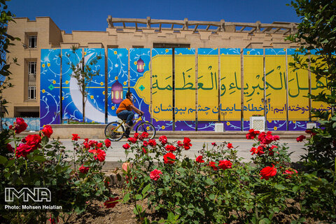 Rose bushes lined up in Isfahan's neighborhoods