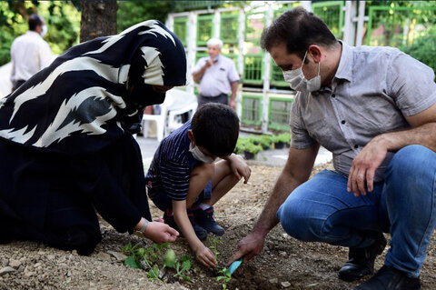 شهروندان شهرک‌های ⁧‫تهران‬⁩ باغچه مشارکتی می‌کارند