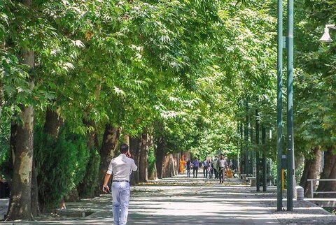 کنترل آفات و بیماری های بیش از ۵۰ هزار اصله درخت و درختچه در مشهد