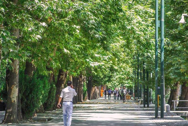 درخت‌بانی تعارضی با سنت حسنه درختکاری ندارد