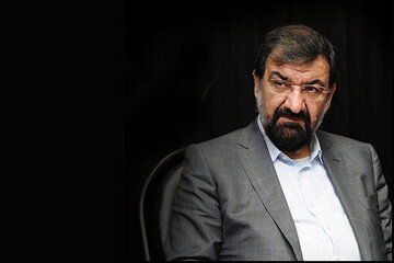Hormuz Strait an Iran-Oman Matter, No Room for Foreign Interference: Rezaei
