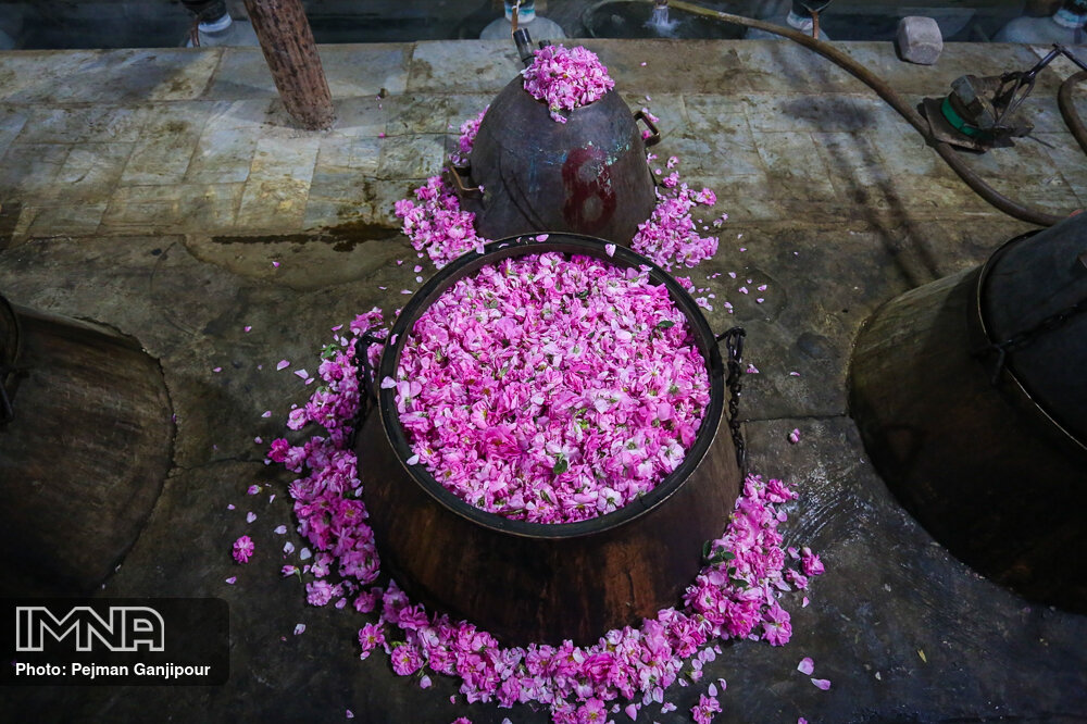 A symphony of scents and carnival flair, the rosewater festival is beyond compare
