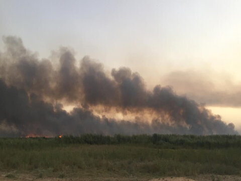 آتش‌سوزی در ۳ هزار هکتار از هورالعظیم/مهار آتش در دو مخزن تالاب