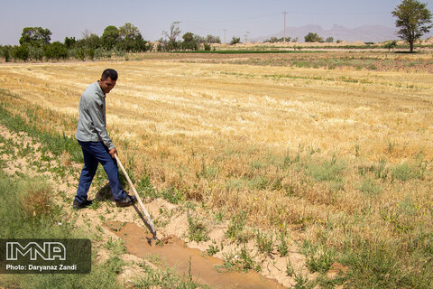 Isfahan’s arable land drying up!