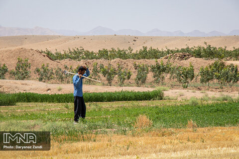 Isfahan’s arable land drying up!