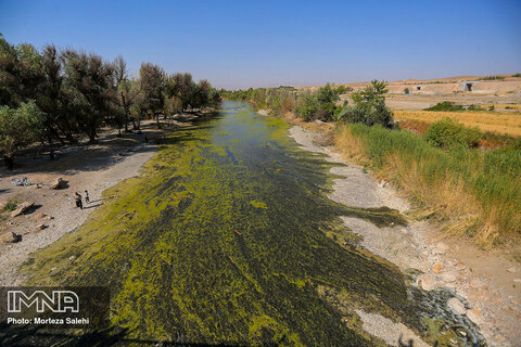 جریان زاینده رود در غرب اصفهان