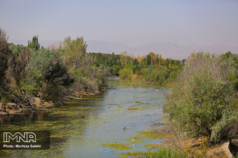 جریان زاینده رود در غرب اصفهان