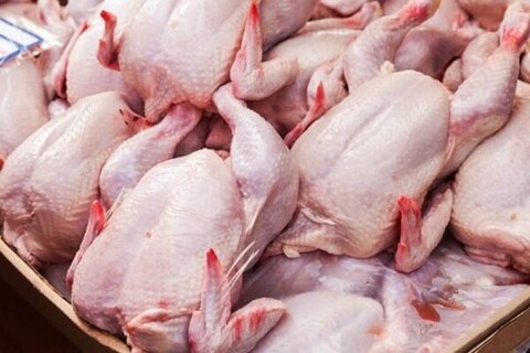 مصرف مرغ ۲۰ درصد کاهش یافت