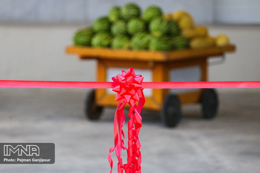 بازارچه‌های سبزی و میوه و تره بار به زودی افتتاح می‌شود