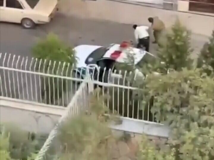 پلیس تهران: رفتار غیرحرفه‌ای مأمور با صاحب سگ در دست بررسی است