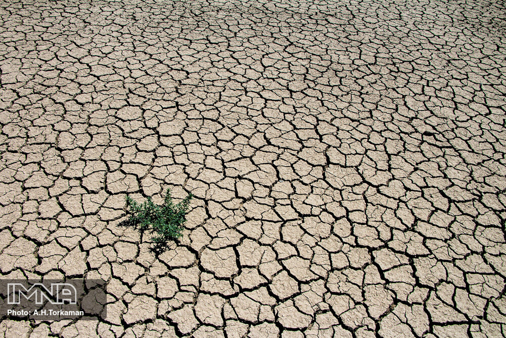 درخواست بیش از ۲۰۰ استاد دانشگاه و فعال محیط‌زیستی بر تداوم جریان آب در زاینده‌رود